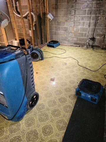 Dim basement with blue luggage, black rug, and small blue devices on a patterned carpet floor.