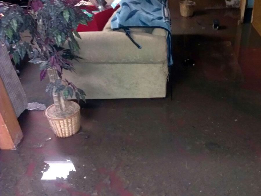 Flooded living room with water covering the floor, a beige couch, and a potted plant.