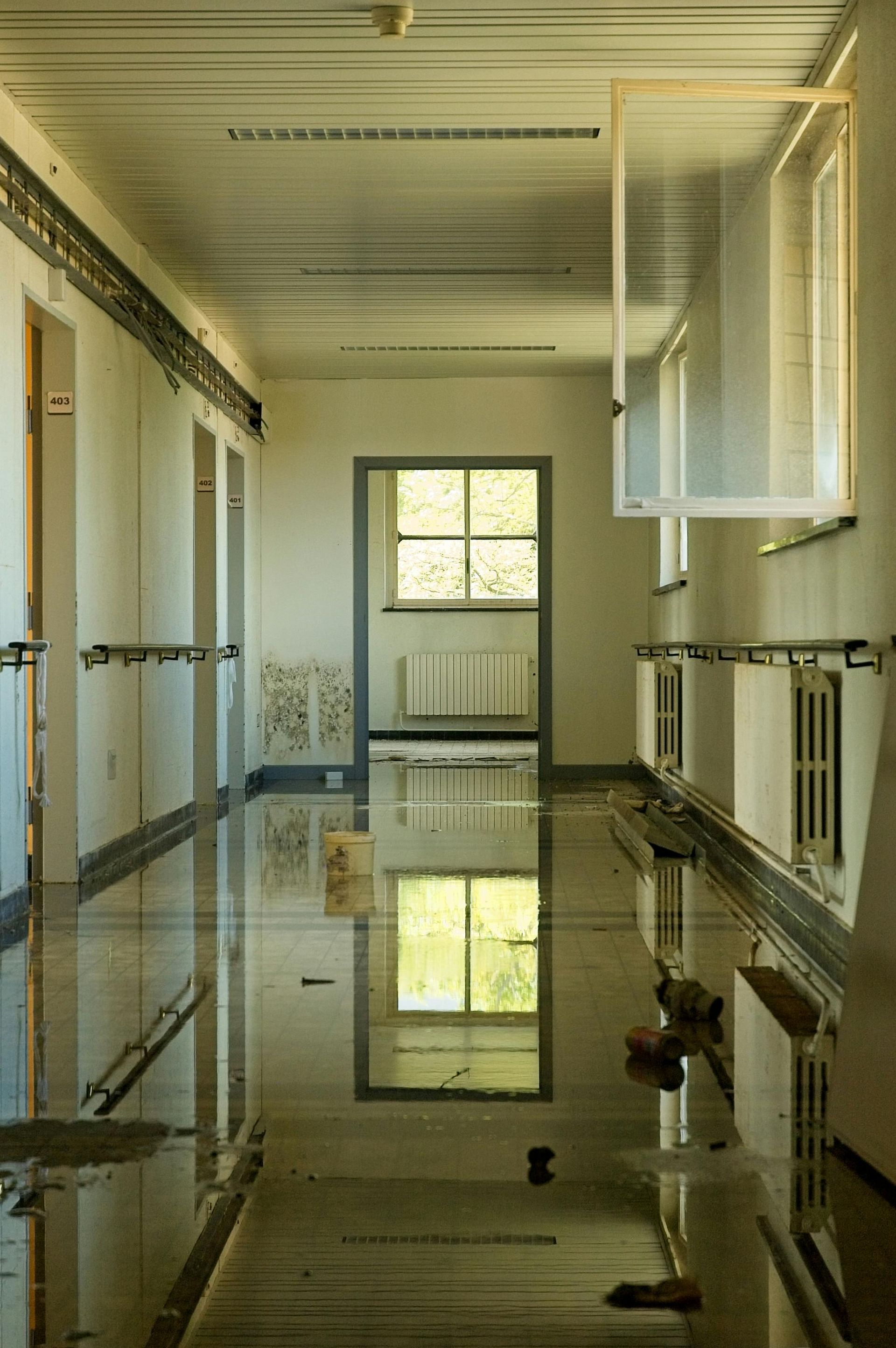 Empty hospital hallway with glossy floors and reflections, lit by daylight from a window at the end.