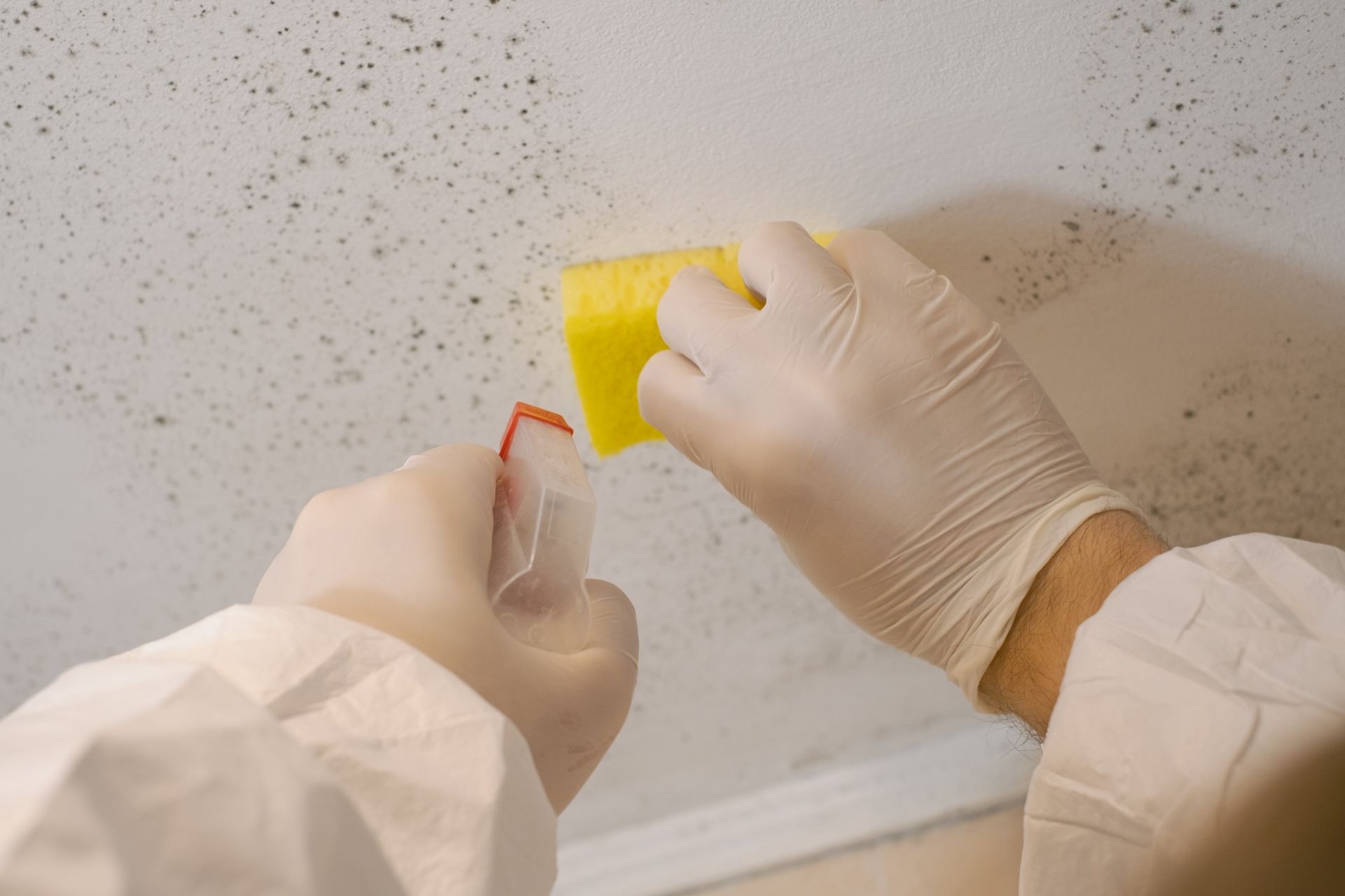 Gloved hands clean a speckled wall with a yellow sponge and spray bottle