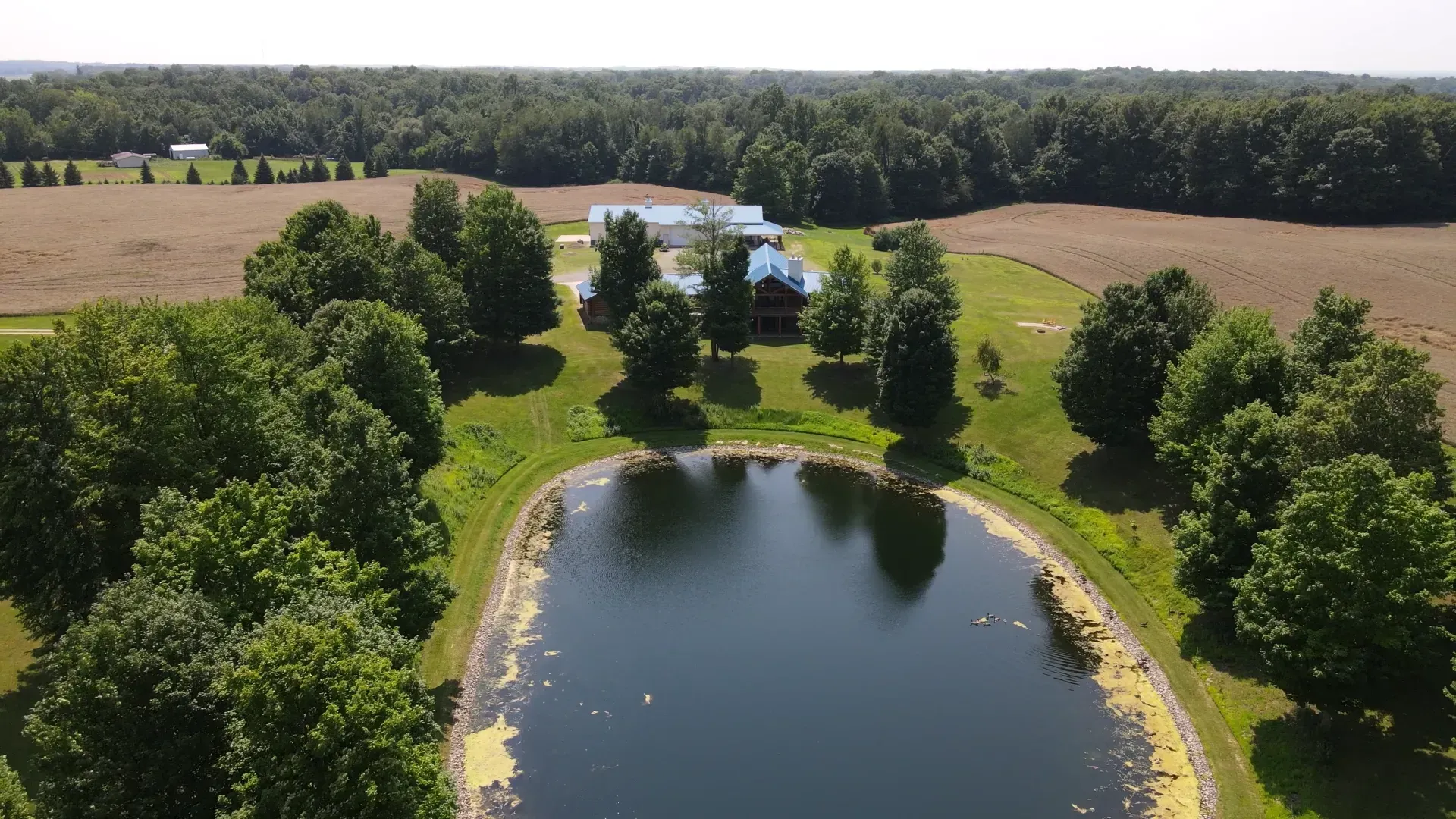 An aerial view of a pond surrounded by trees and grass