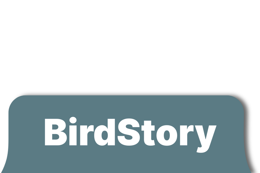 BirdStory text in white on a blue-green rounded rectangle with a white background.