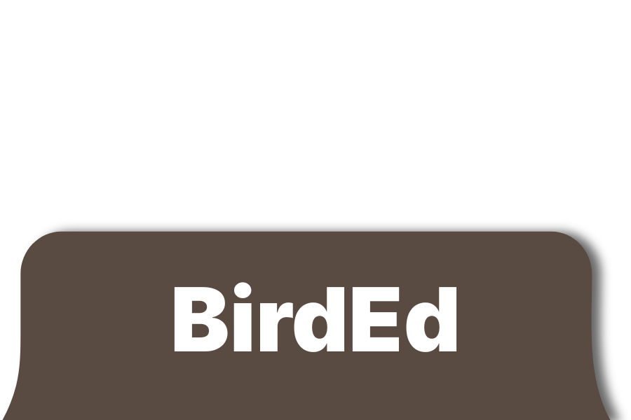 BirdEd logo in white text on a rounded, dark orange rectangle.