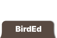 BirdEd logo in white text on a rounded, dark orange rectangle.
