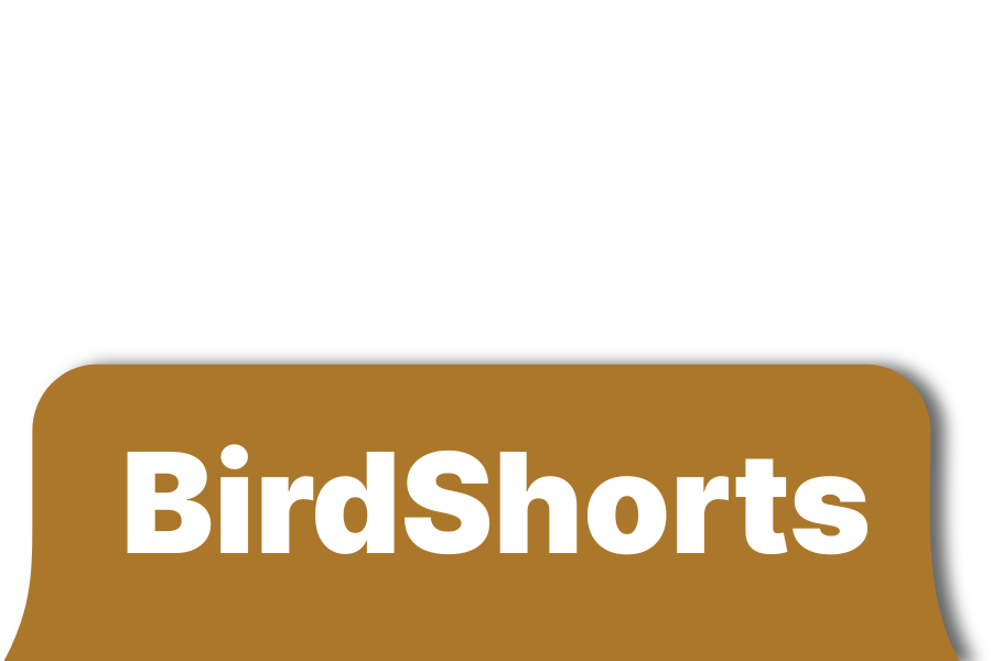 BirdShorts logo: white text on a brown rounded rectangle.