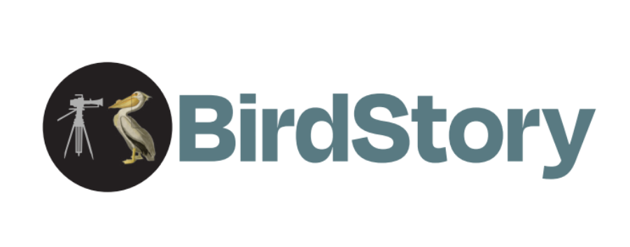 Logo with a bird and camera inside a black circle, 