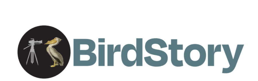 Birds of America Logo