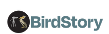 Birds of America Logo