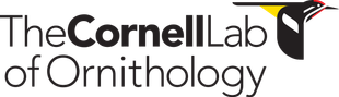 The Cornell Lab of Ornithology logo. Black text with a stylized bird icon, yellow and red accents.