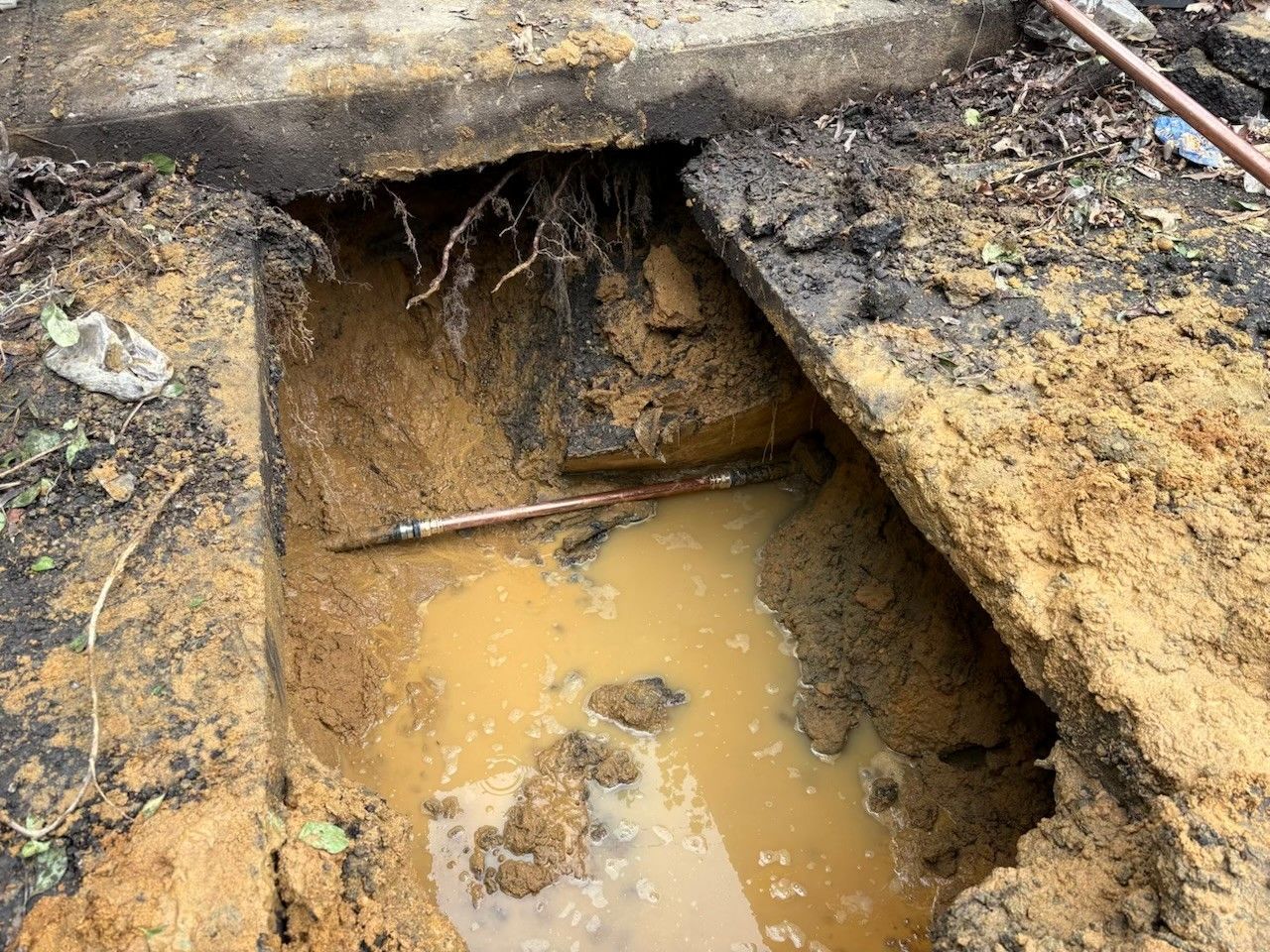 Mud-filled excavation hole in the ground with exposed roots and a wooden stick across it