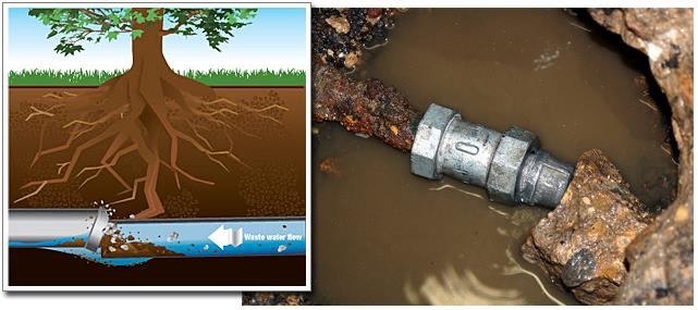 Underground pipe leak under tree roots with muddy water and a metal pipe repair clamp