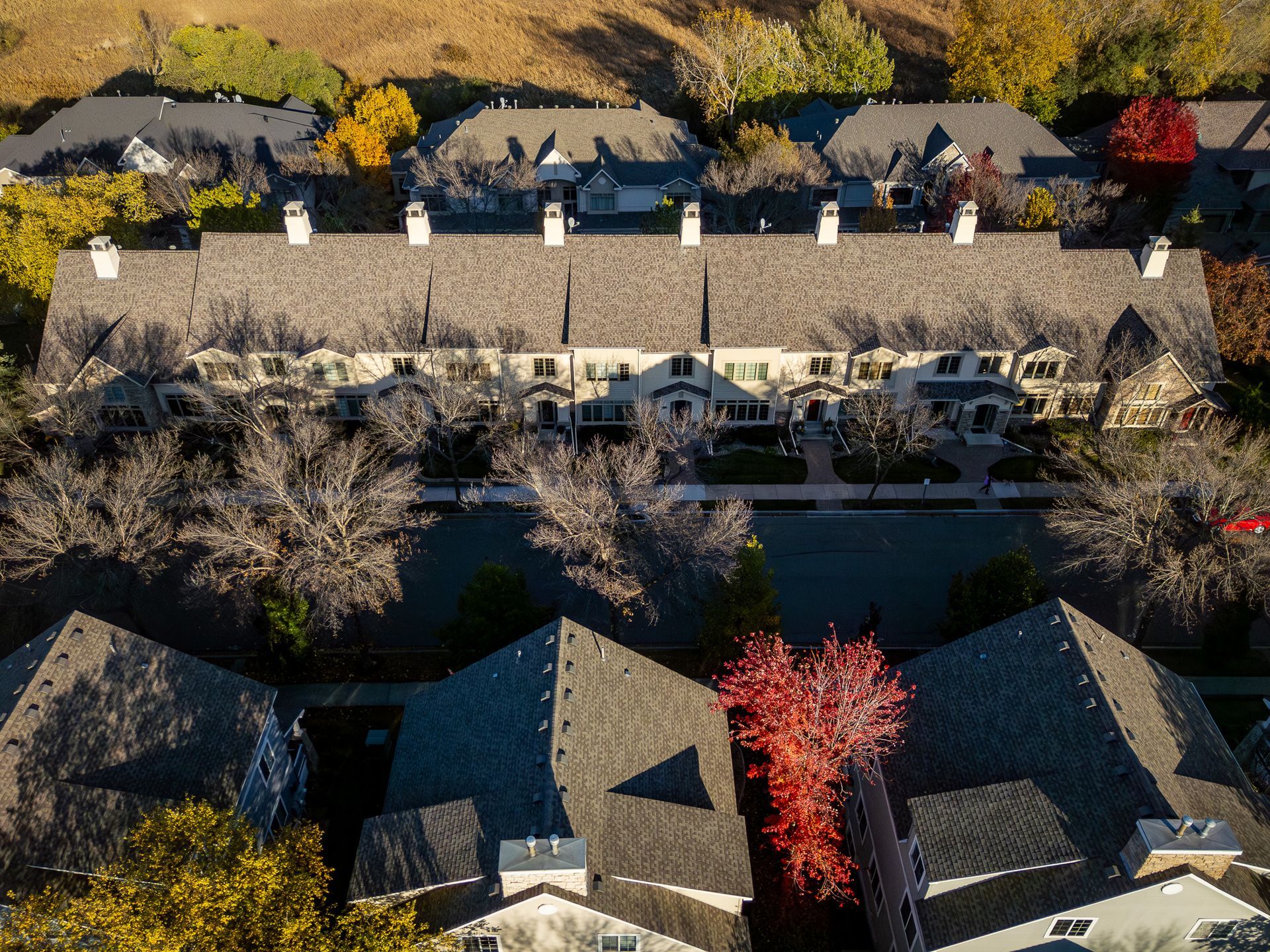 Aerial view of townhomes with gray roofs, trees, and a red-leaved tree in front.