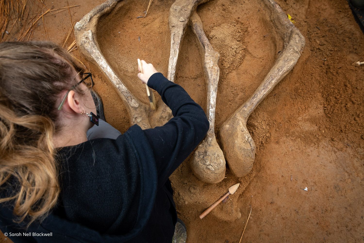 The Biological Anthropologists of Richland County Coroner’s Office