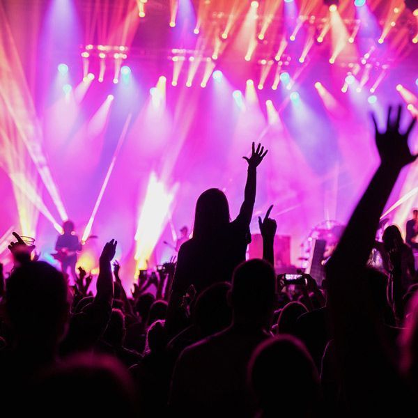 Crowd silhouettes with raised hands under pink and purple stage lights at a concert