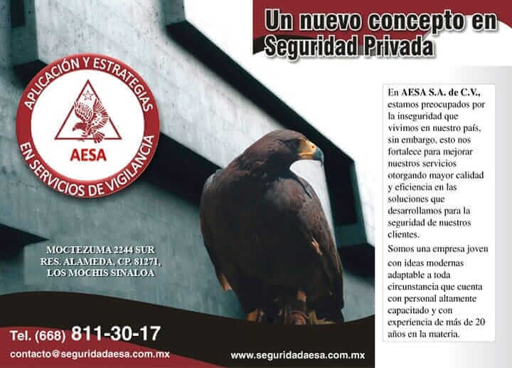 APLICACIÓN Y ESTRATEGIAS EN SERVICIOS DE VIGILANCIA SA DE CV- Sistemas de Seguridad