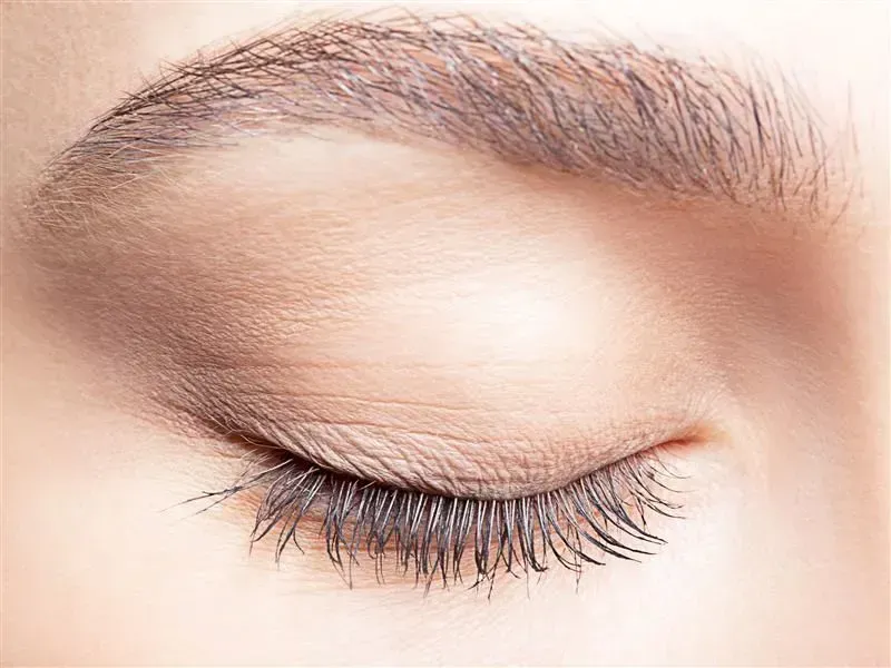 Close-up of a closed eye with long eyelashes and neatly groomed eyebrow.