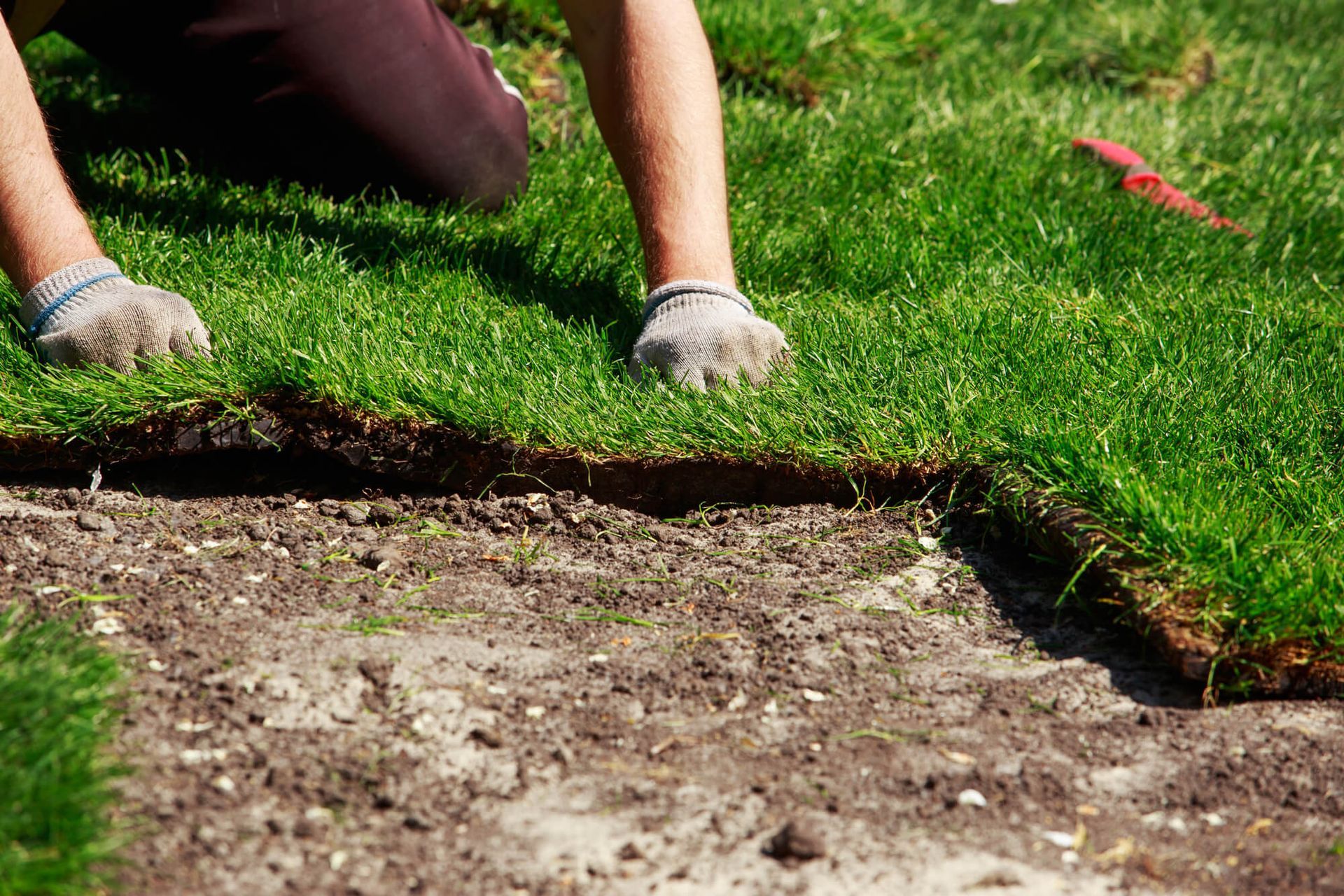 Lawn Installation in Renton, WA