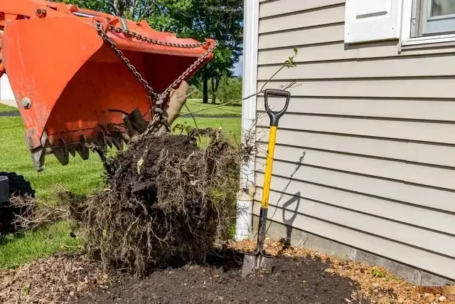 Brush Removal in Renton, WA & Surrounding Areas