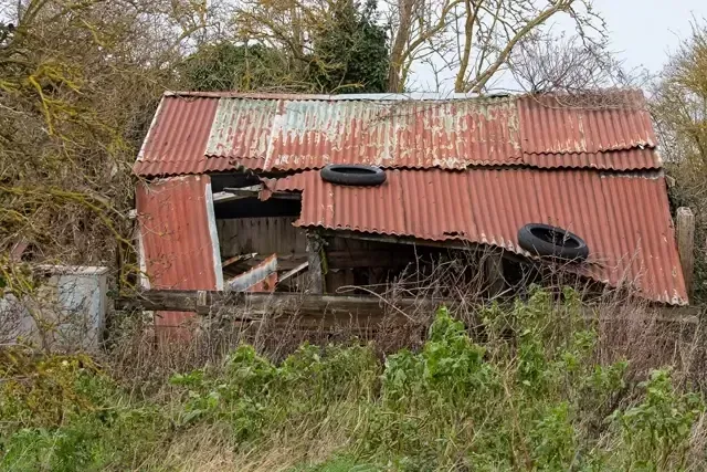 Yard Excavation In Renton WA & Surrounding Areas