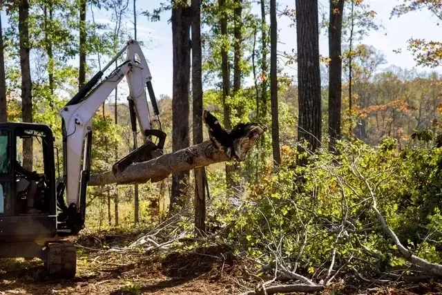 Shrubs Removal In Renton WA & Surrounding Areas