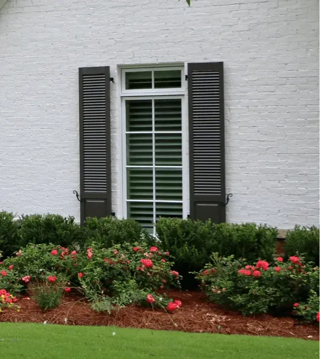 White brick house window with dark shutters above pink flowers and green shrubs in a landscaped garden