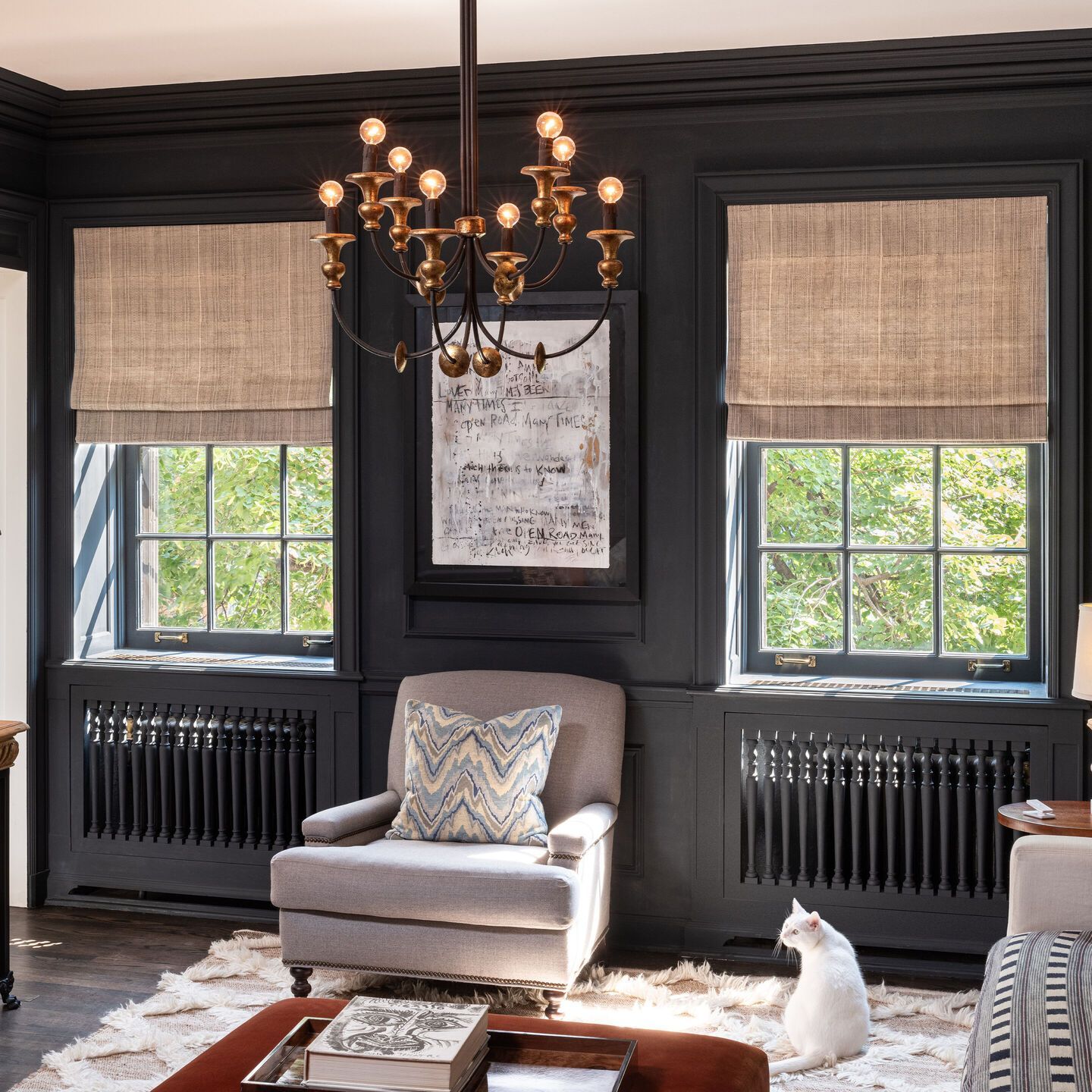 Elegant dark-paneled living room with two windows, a chandelier, armchair, coffee table, and a white cat on the floor