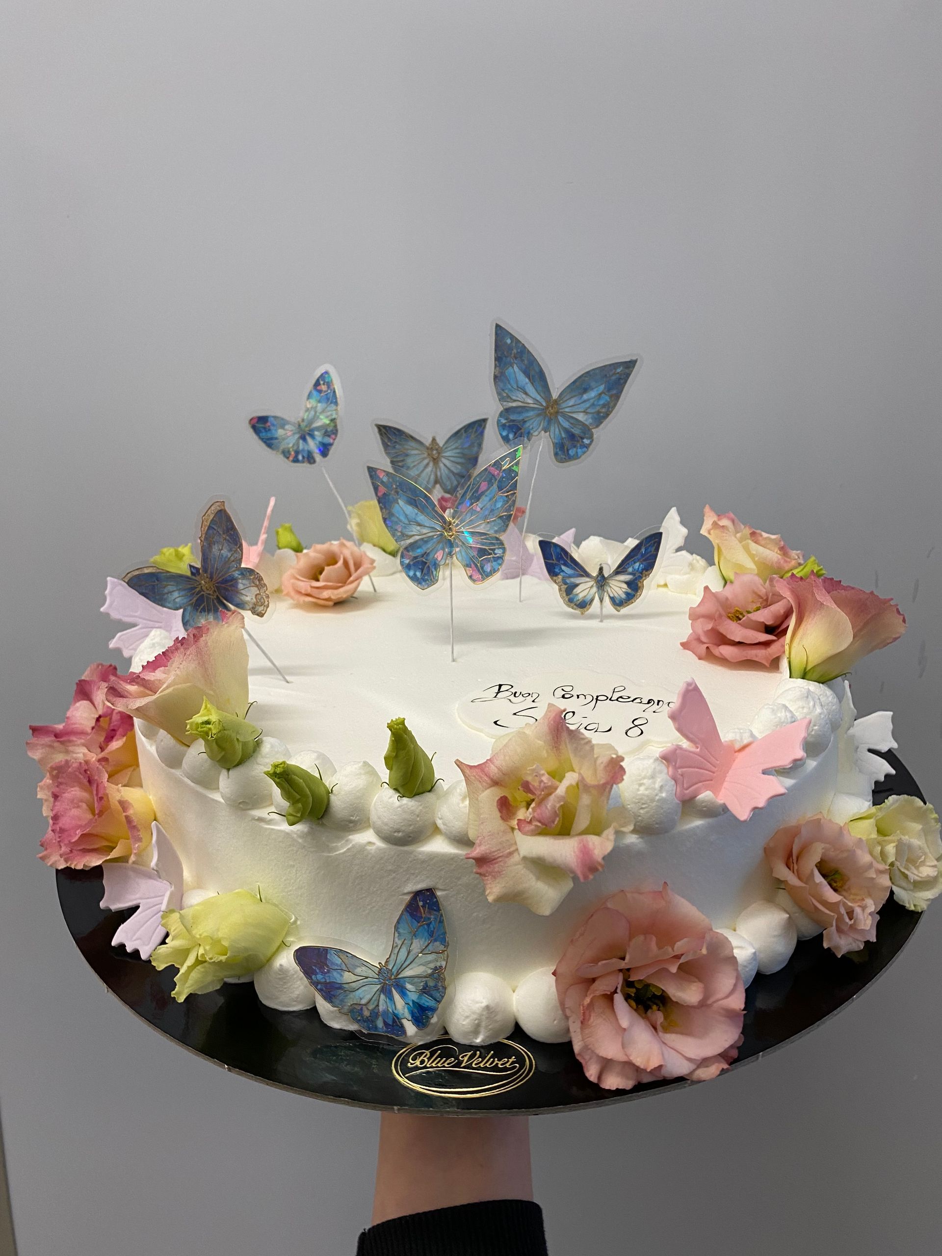 torta