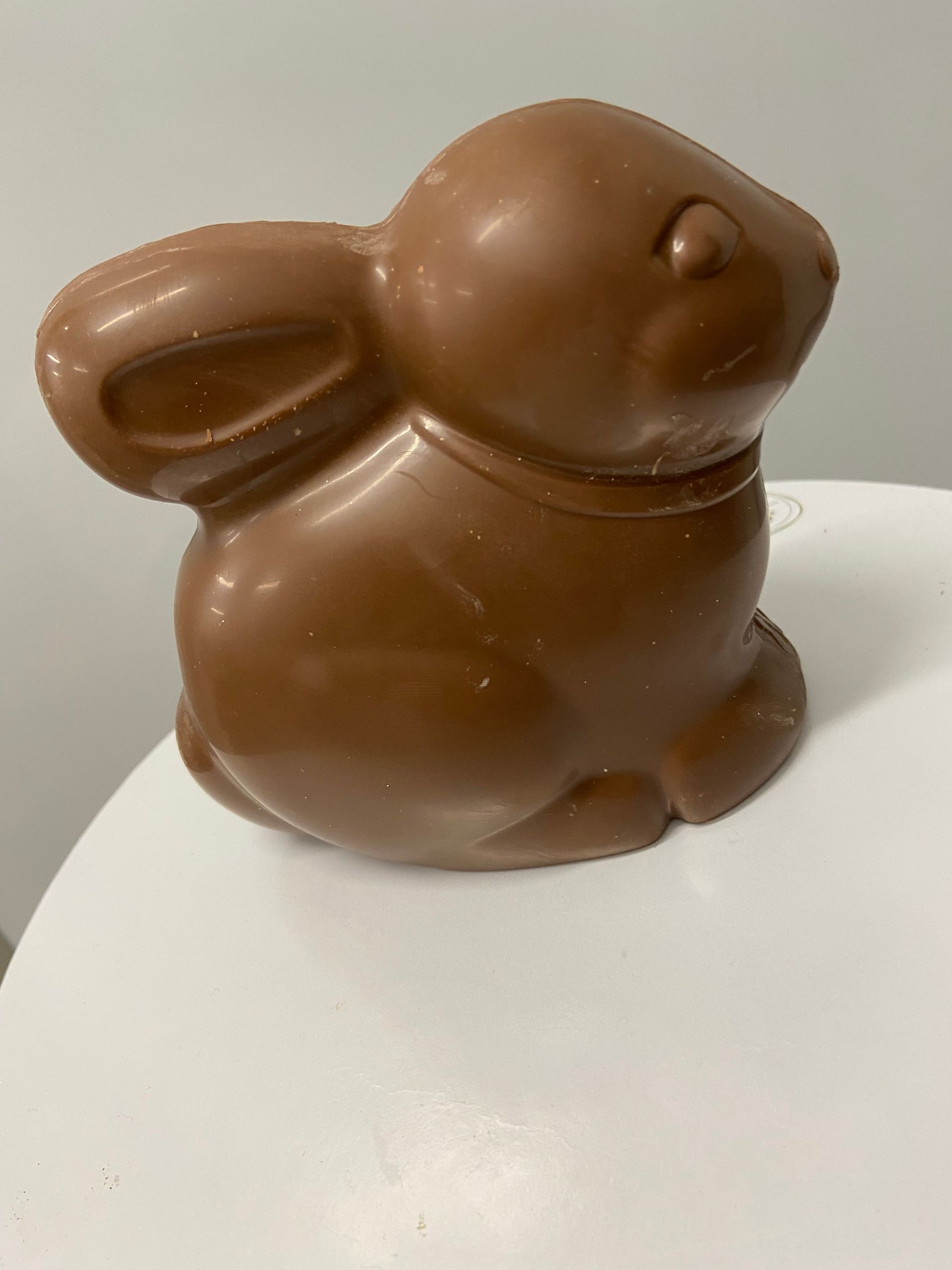 coniglio di pasqua