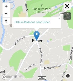 Helium Balloon Delivery Esher