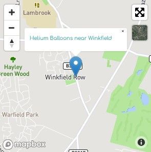 Helium Balloon Delivery Winkfield