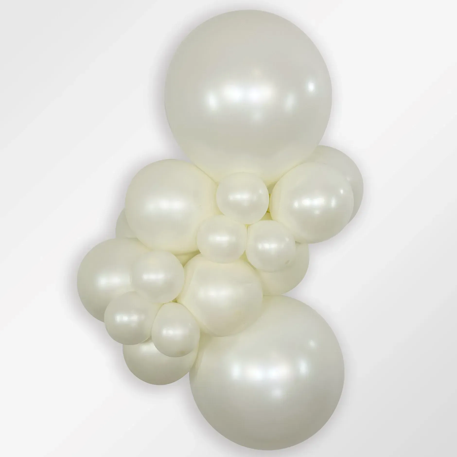Silk Oyster Semptertex Balloons