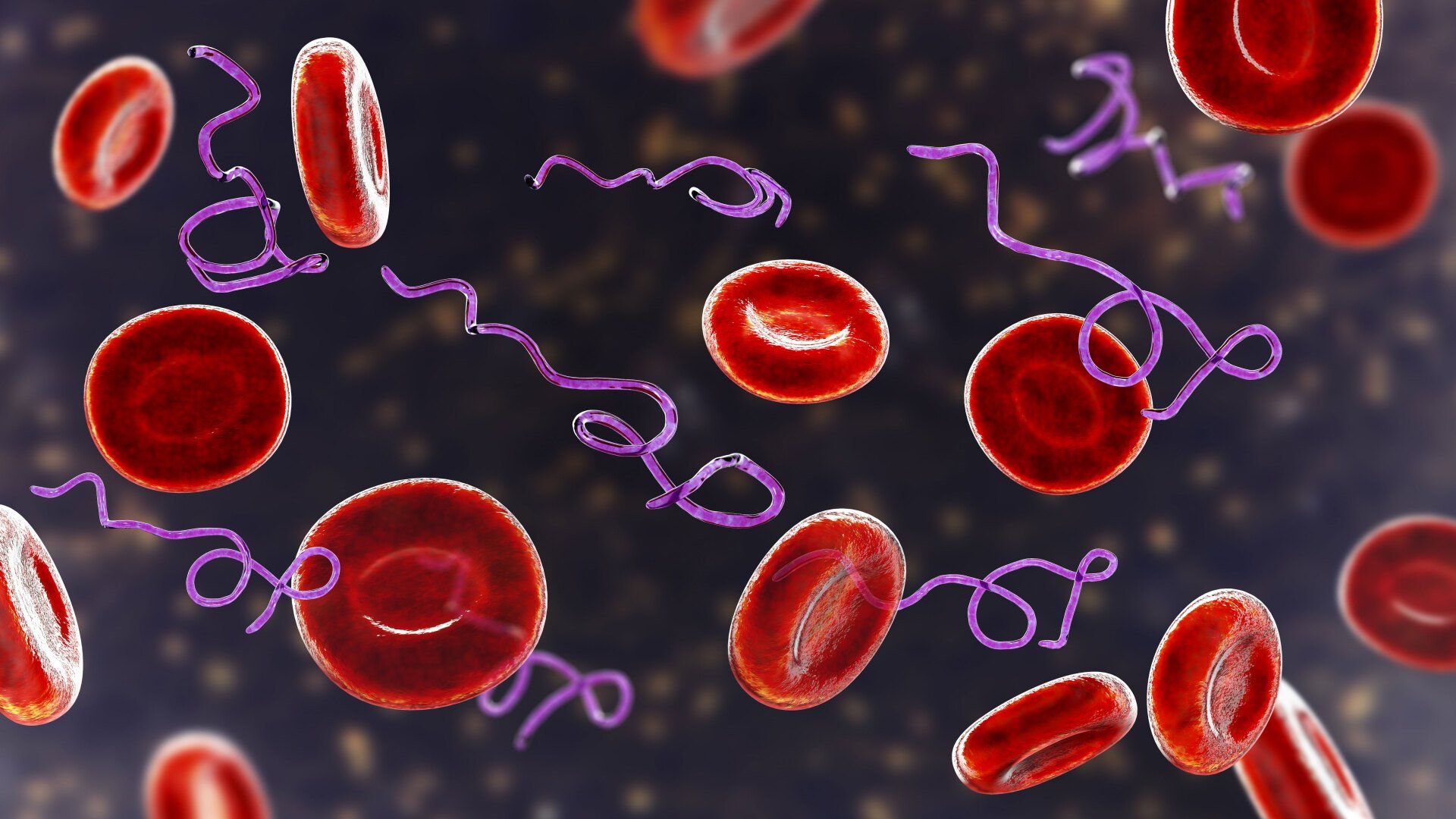Lyme Disease and Co-infections