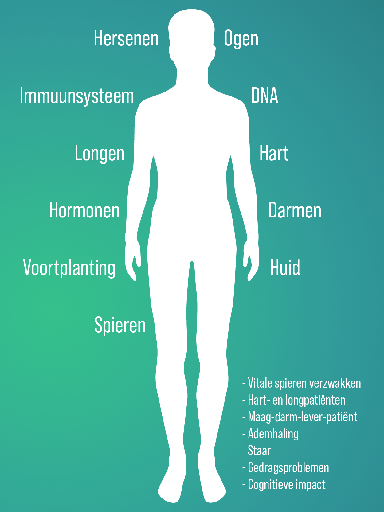 Een silhouet van een mannenlichaam met verschillende delen gelabeld in een vreemde taal