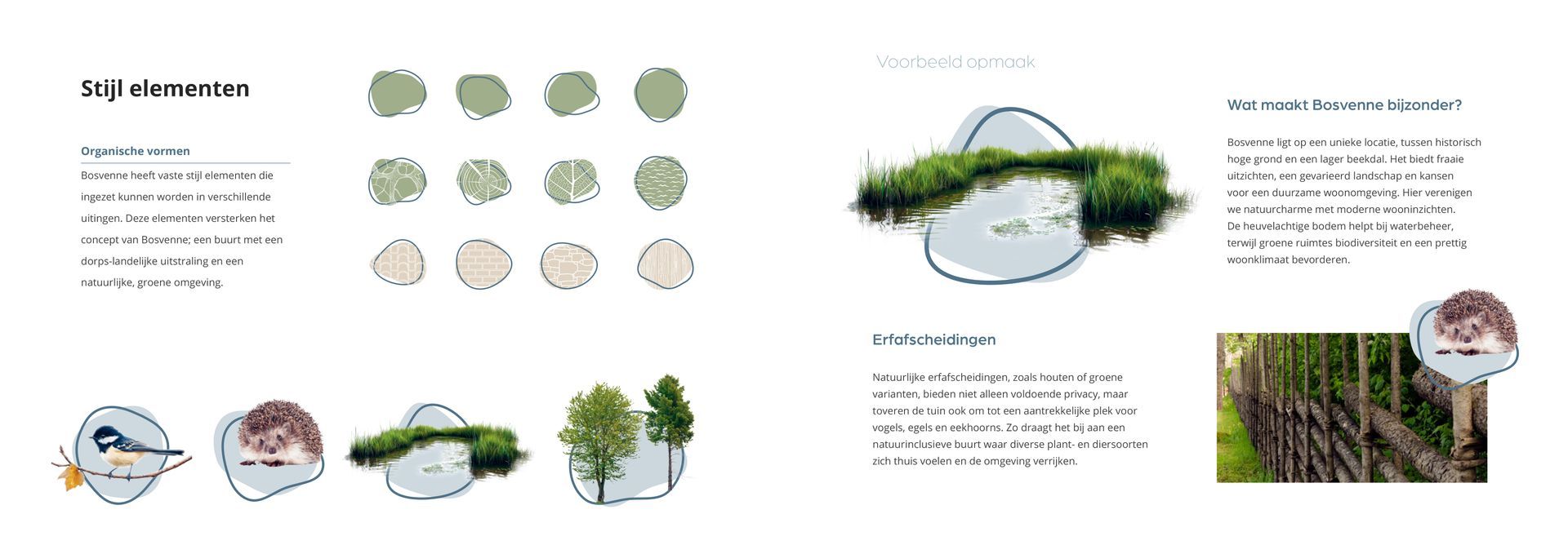 Er staan veel verschillende soorten planten en bomen op deze foto.
