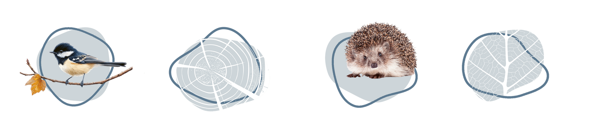 Een vogel, een egel en een insect zitten in cirkels op een witte achtergrond.