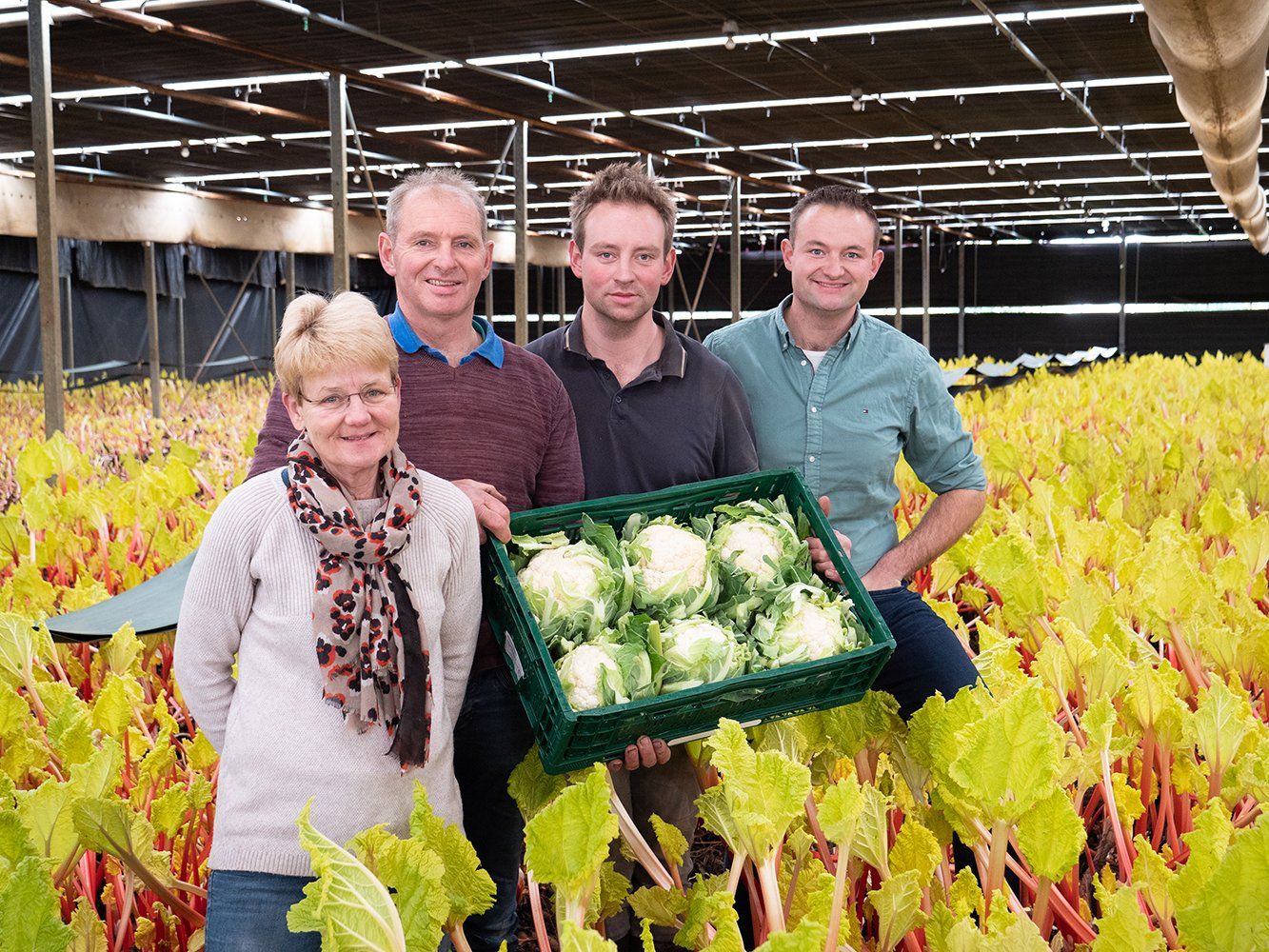 Een groep mensen staat in een kas met een krat bloemkool in hun handen.