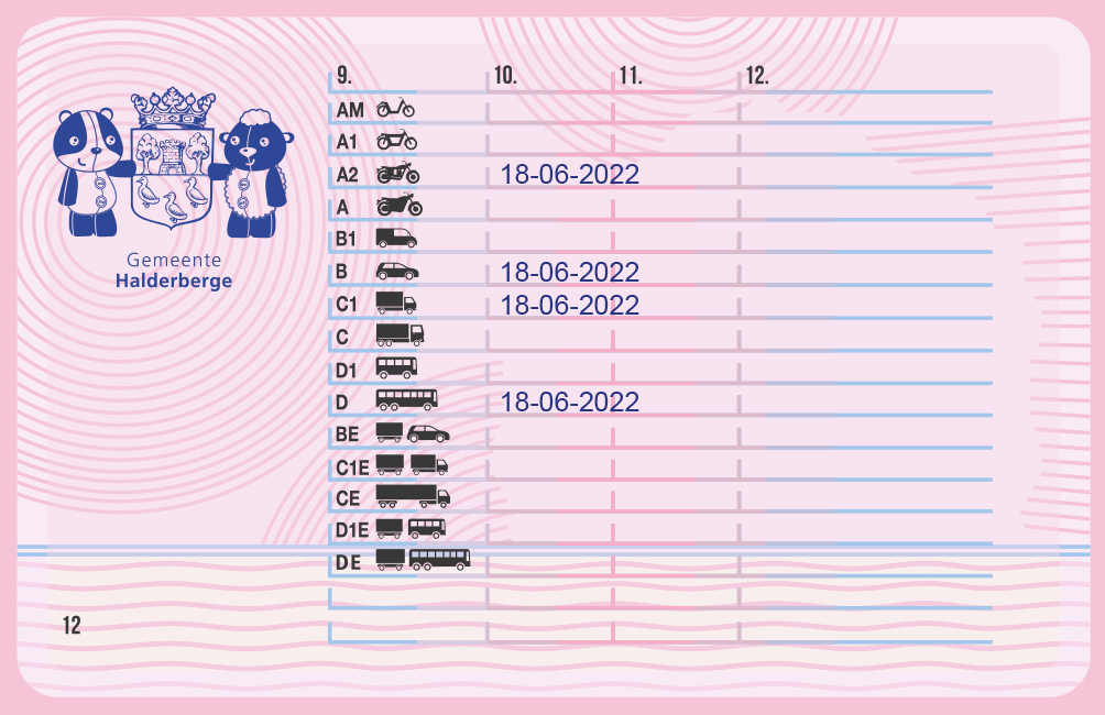 Een roze rijbewijs met heel veel cijfers erop.