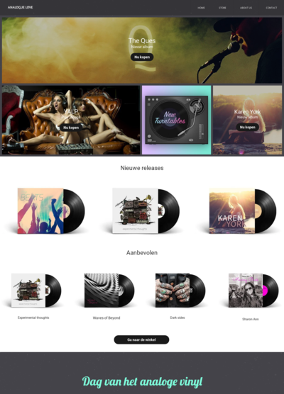 Een website toont een verscheidenheid aan vinylplaten