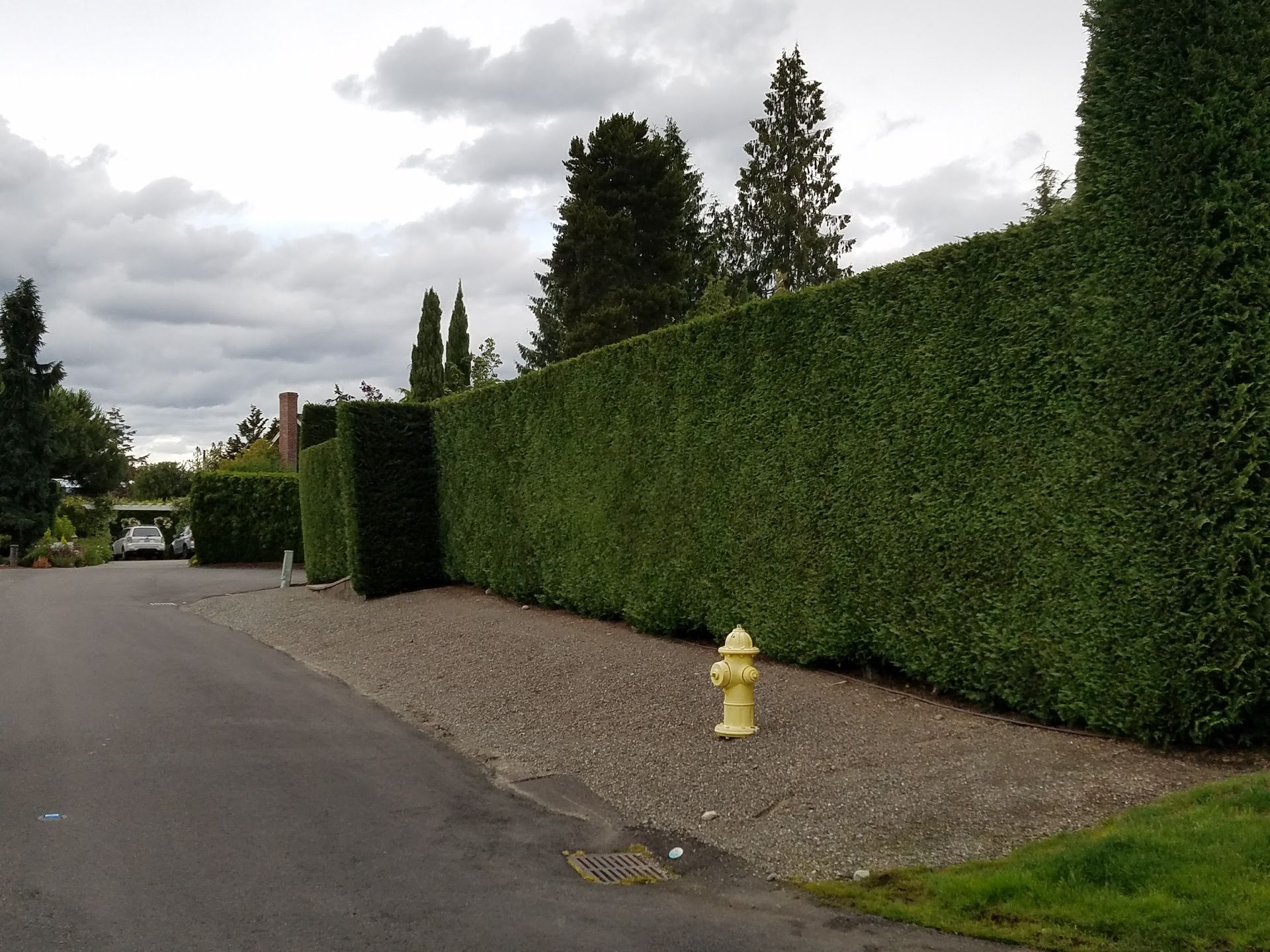 A tall, green hedge lines a gravel path beside a paved road; a yellow fire hydrant is in front.