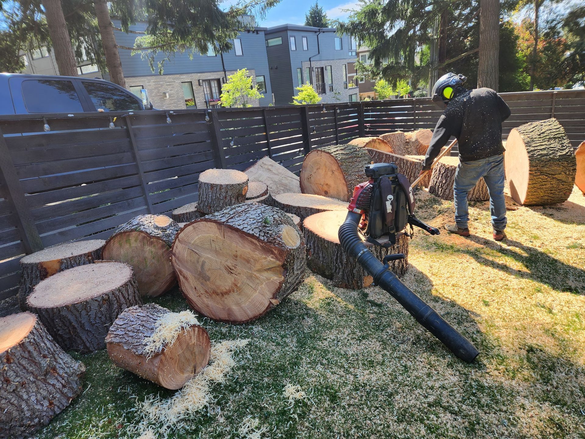 Person using a leaf blower to clear wood shavings from a yard. Several large tree logs are present.