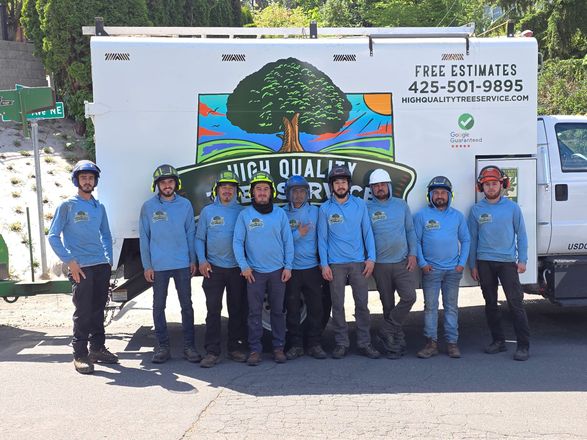 Group of workers in blue shirts standing in front of a company truck with a tree logo and phone number.