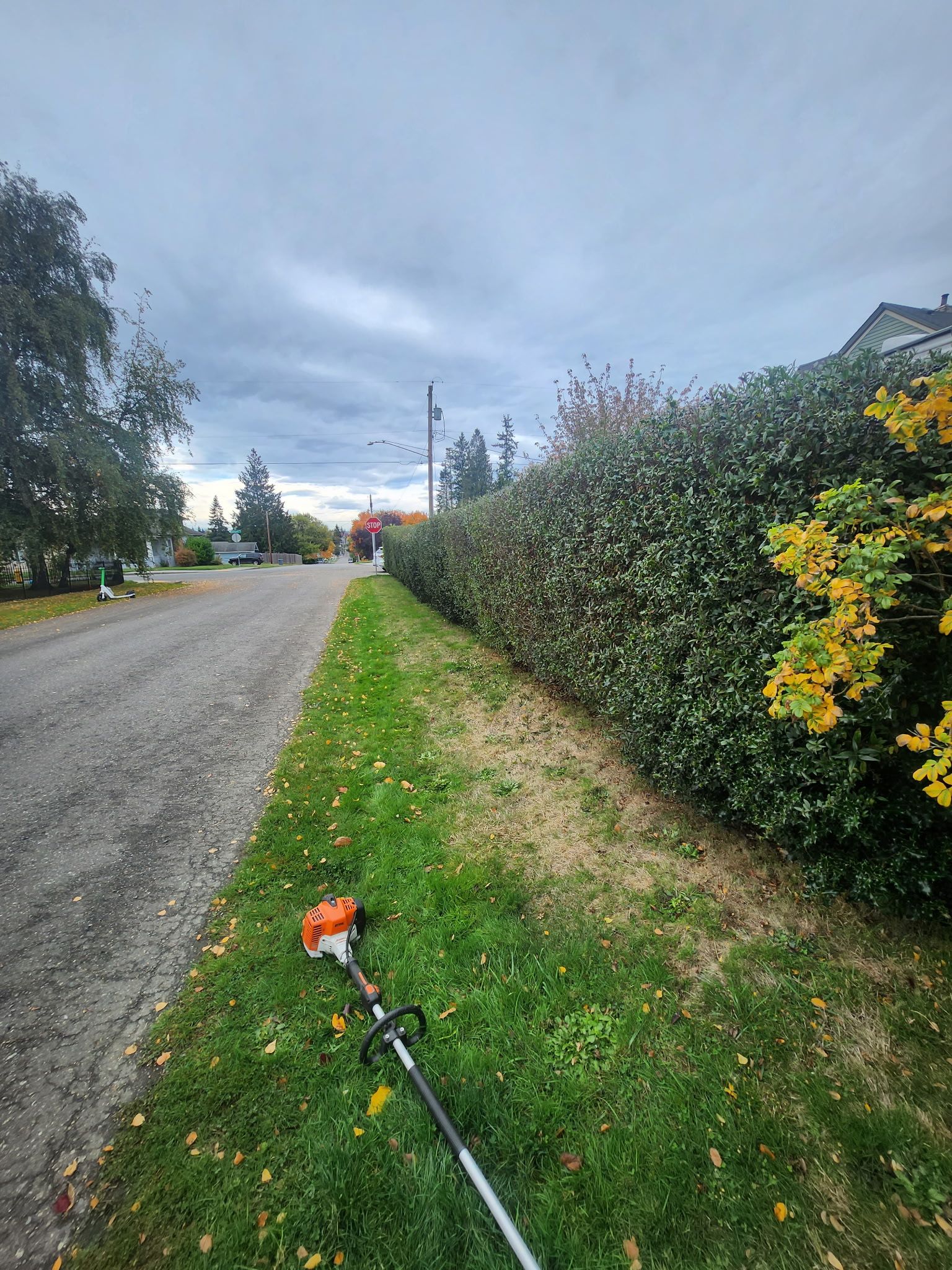String trimmer on grass next to a long, trimmed hedge and gravel road under a cloudy sky.