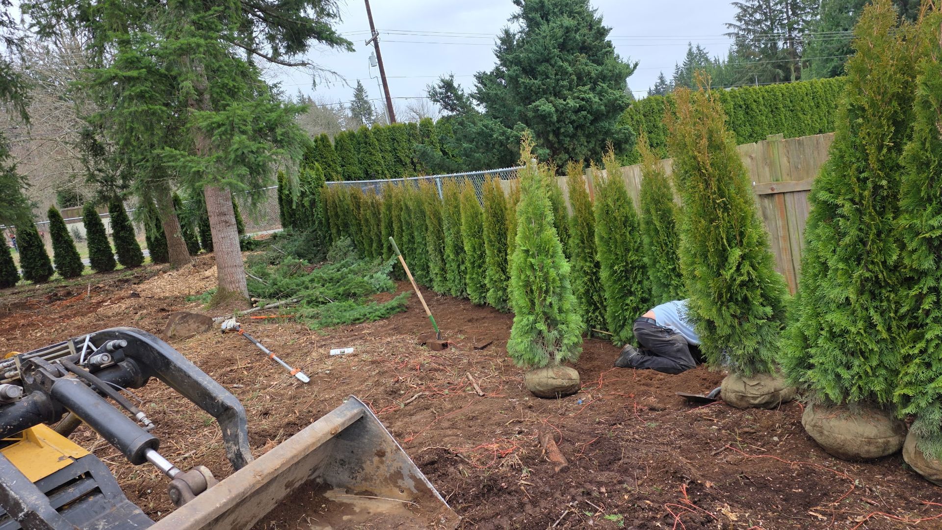 Landscaping yard with rows of potted evergreens, dirt ground, and a backhoe arm in the foreground.