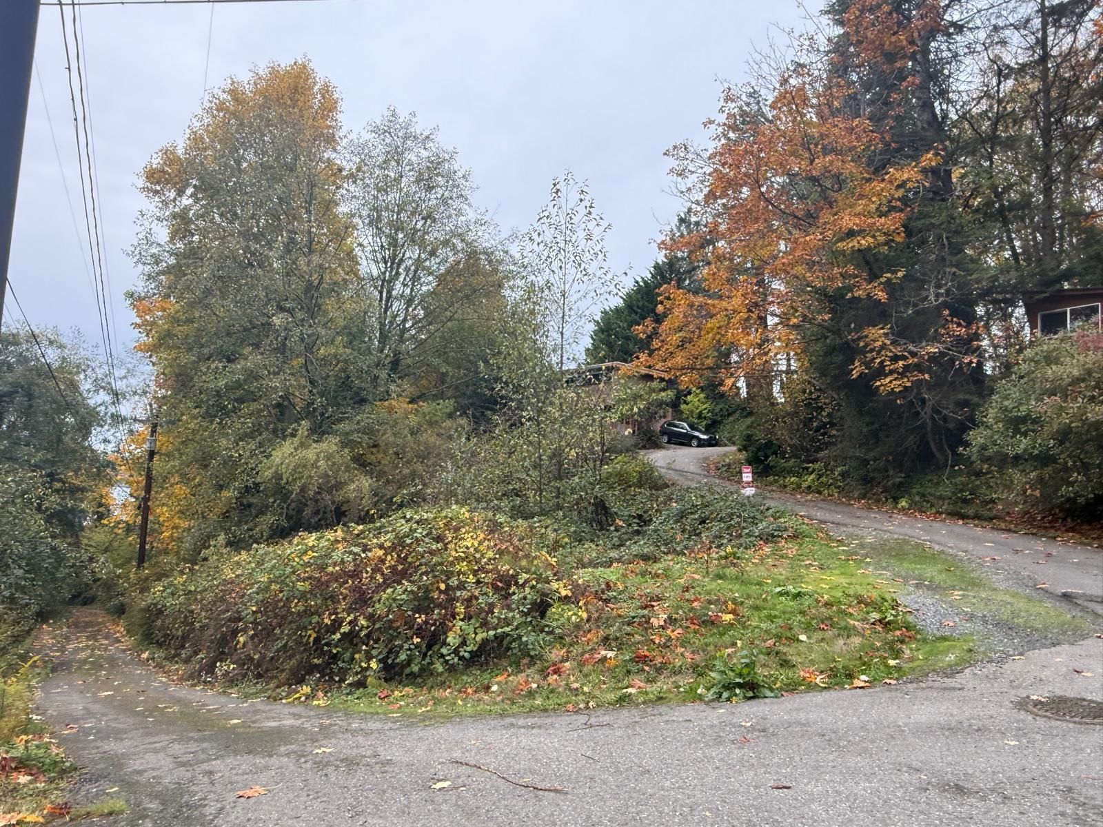 Gravel road curves uphill between trees with autumn leaves. Car at top of hill, overcast sky.