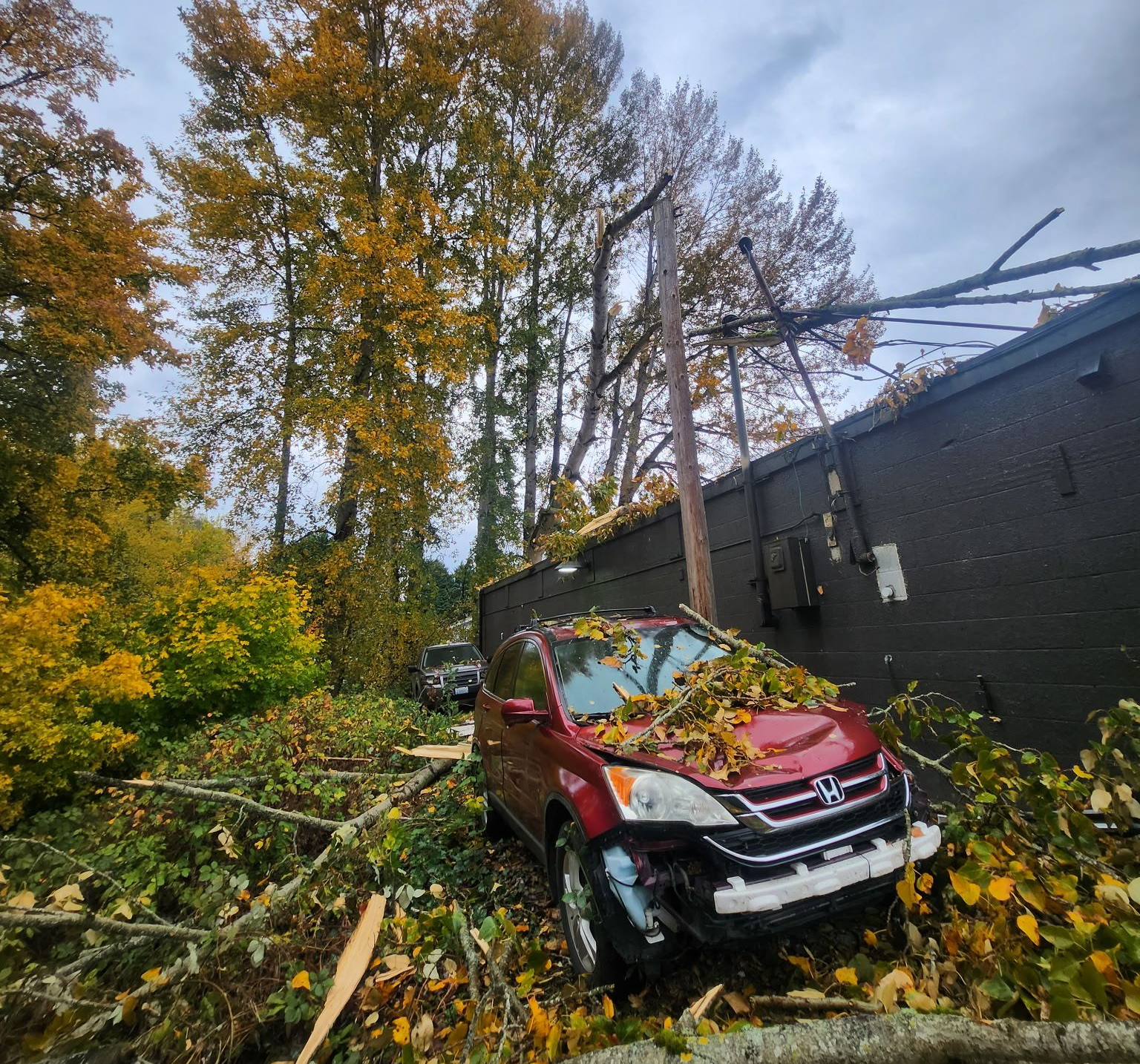 Red SUV crushed by fallen tree branches beside a dark building in autumn foliage