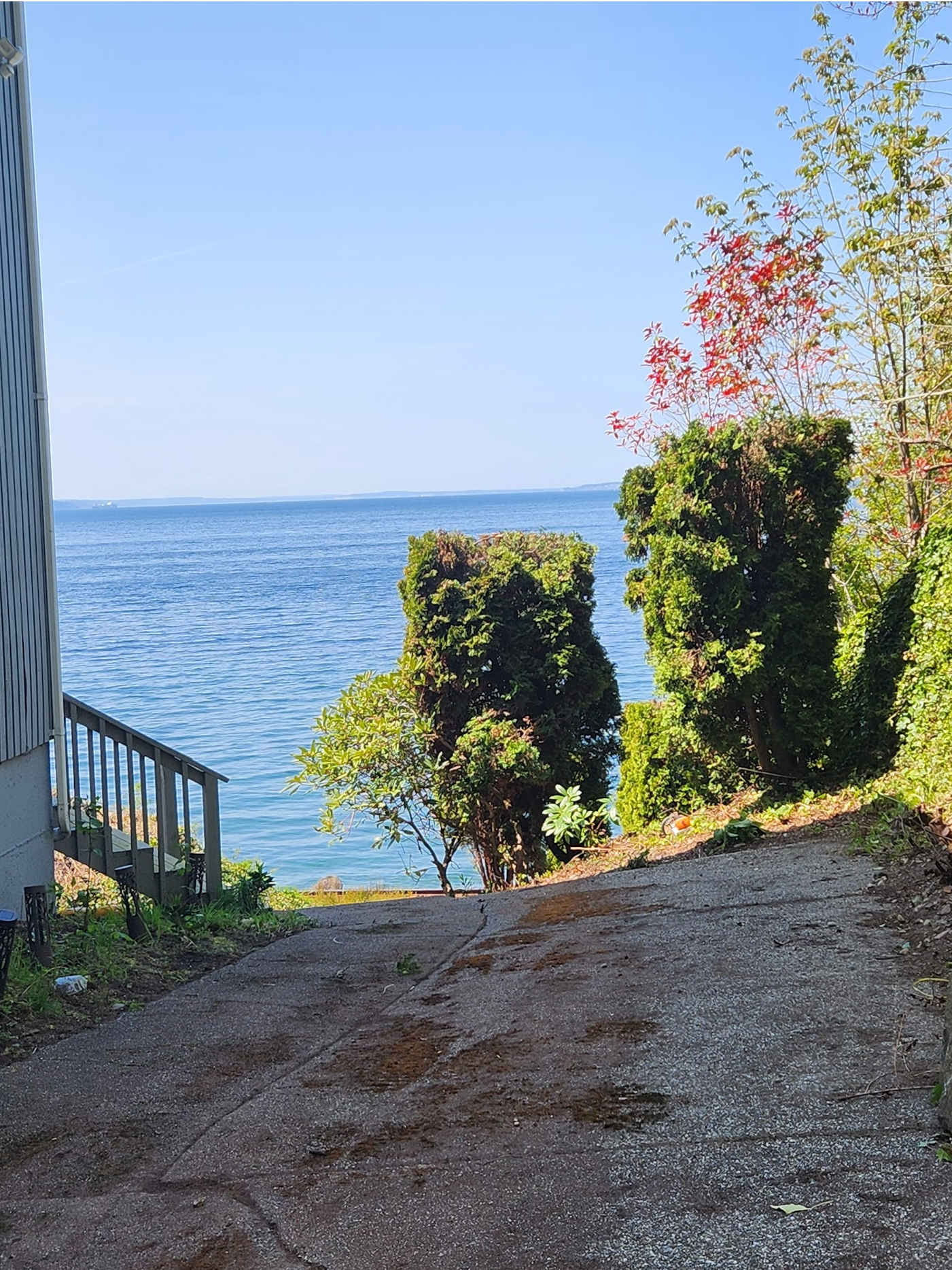 Gravel path leading to a blue lake, flanked by green bushes and trees under a clear sky.