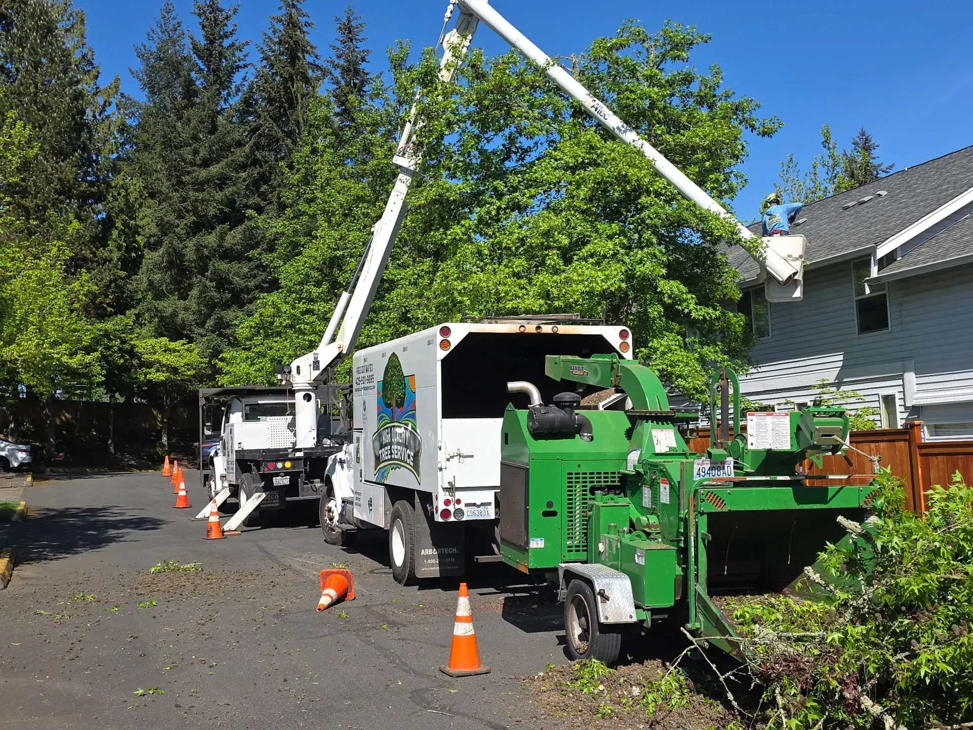 Crew with green wood chipper and bucket truck clearing trees on a residential street, cones marking work area