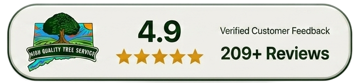Hight Quality Tree Service's aggregate reviews from GBP.