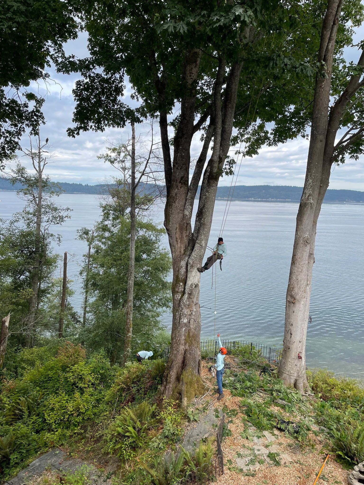 Two people on a rocky lakeshore trail, framed by tall trees, overlooking calm water and a distant shoreline.