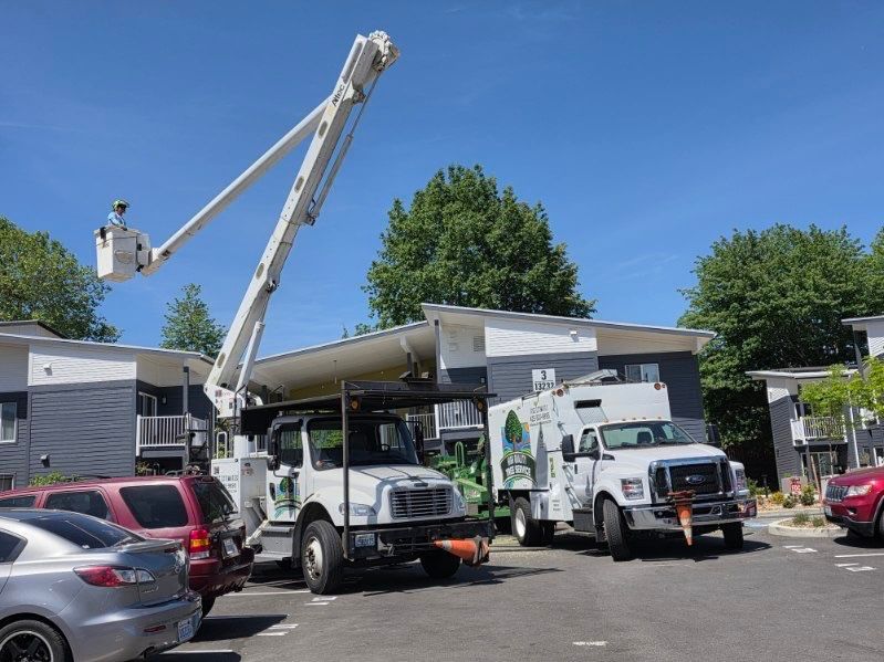 Two utility bucket trucks parked on a street, with a raised boom beside houses and trees.